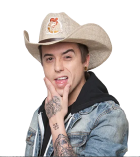 Dh Silveira 