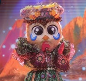 coruja 