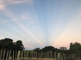 PÔR DO SOL
