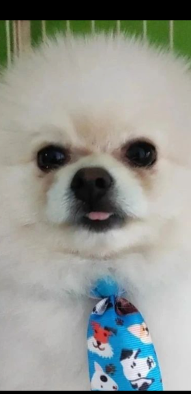 Manu