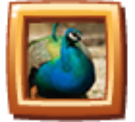 b19