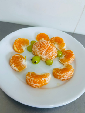 Tartaruga