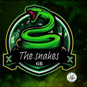 The snakes (6º B)