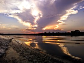 "A Amazônia traduzida em elementos: Água, Fogo, Ar, Terra e Vida