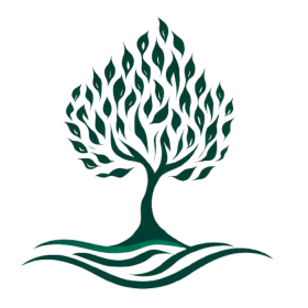 Alternativa 1