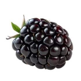 d4ccee7b4f0e5cc0fe31cf672a2bf1f0