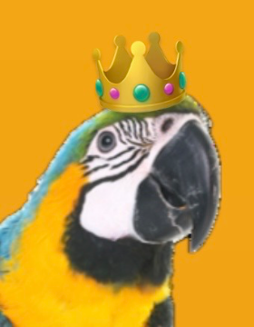 Arara