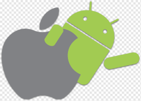 image (4)