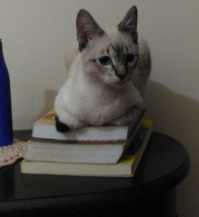 Félix